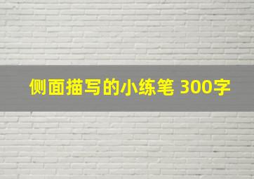 侧面描写的小练笔 300字